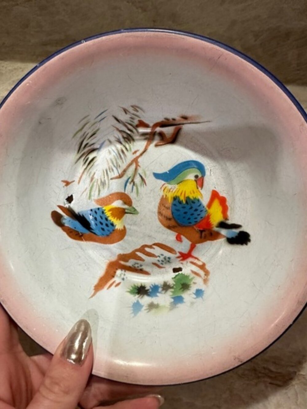 Lucky Elephant Enamel Bowls Set of 2 Bird Duck Motif Vintage Cottage Decor
